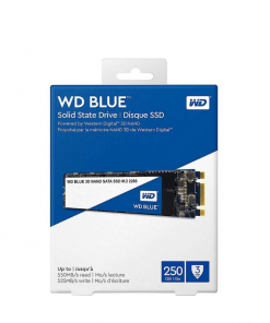 ổ cứng SSD WD 250GB WDS250G2B0B (M2-2280)