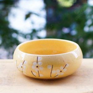 Chậu Gốm Sứ Nhật Ang To đủ các màu đẹp